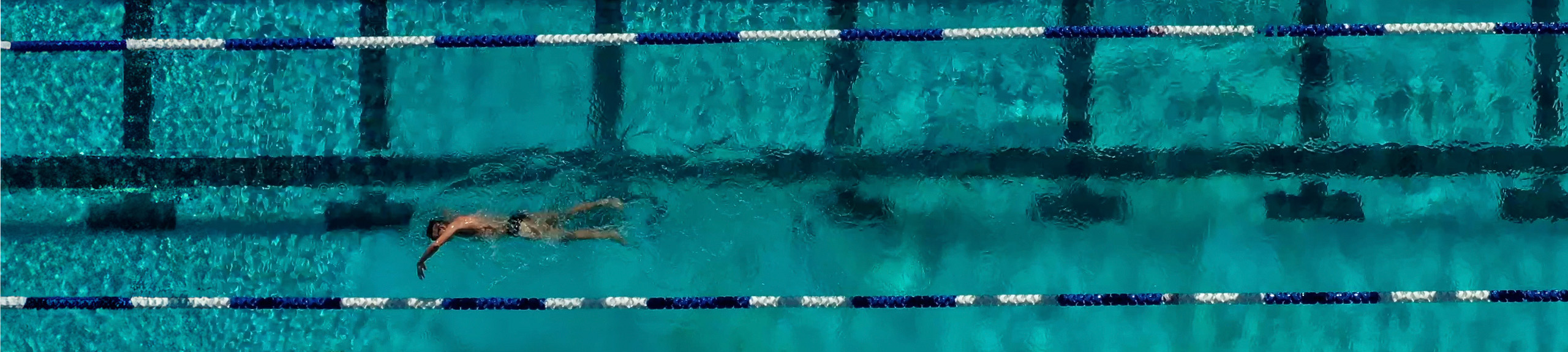 Overhead shots of swimmer training