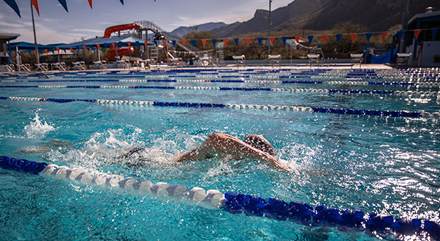 freestyle swimmer swimming in pool