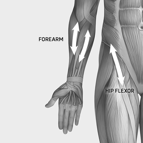 Compex Fixx - Massage Points - Hip - Front