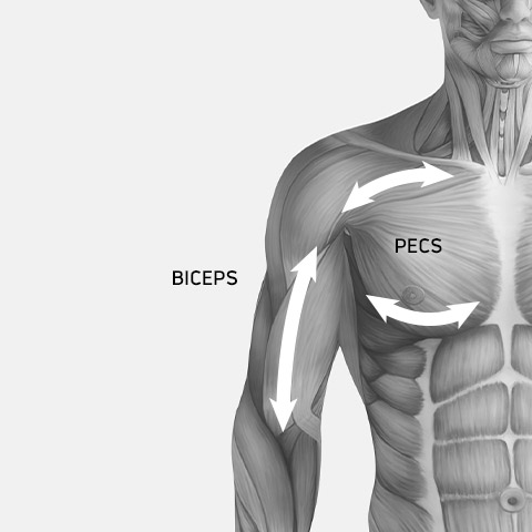 Compex Fixx - Massage Points - Upper Body - Front